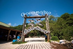 Cartagena: All-Inclusive Rosario Islands Speedboat Tour
