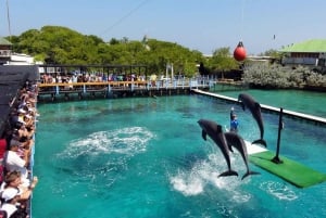 Cartagena: All-Inclusive Rosario Islands Speedboat Tour