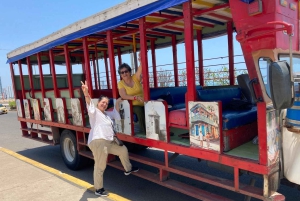 Cartagena: BILINGUAL CITYTOUR + SAN FELIPE CASTLE & Gamlebyen