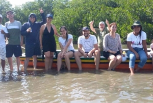 Carthagène : Excursion en canoë dans les mangroves