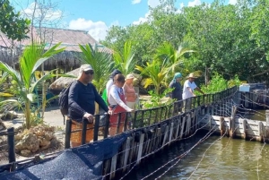 Carthagène : Excursion en canoë dans les mangroves