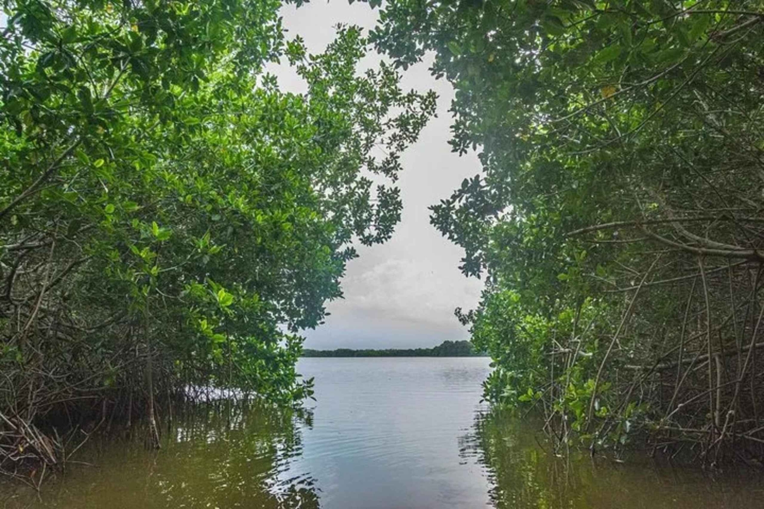 Cartagena: Kanotur med fugleobservation, transport og snack