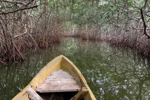 Cartagena: Kanotur med fugleobservation, transport og snack