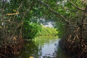 Cartagena: Kanotur med fugleobservation, transport og snack