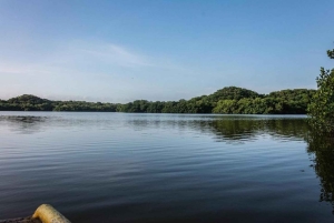 Cartagena: Kanotur med fugleobservation, transport og snack