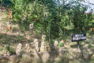 Cartagena: Kanotur med fugleobservation, transport og snack