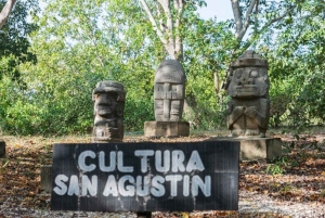 Cartagena: Kanotur med fugleobservation, transport og snack