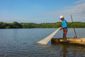 Cartagena: Kanotur med fugleobservation, transport og snack