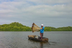 Cartagena: Kanotur med fugleobservation, transport og snack