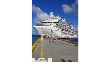 Cruisetour door Cartagena: kasteel, Popa en historisch centrum (4 uur)