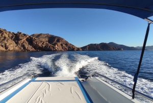 Carthagène : Excursion guidée en bateau à la Isla de las Palomas (île des Pigeons)
