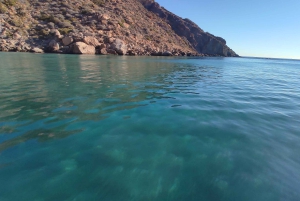 Carthagène : Excursion guidée en bateau à la Isla de las Palomas (île des Pigeons)