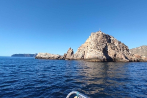 Carthagène : Excursion guidée en bateau à la Isla de las Palomas (île des Pigeons)