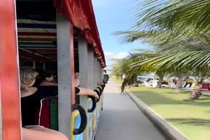 Cartagena: CityTour Histórico en Autobús Chiva ¡Con Guía!