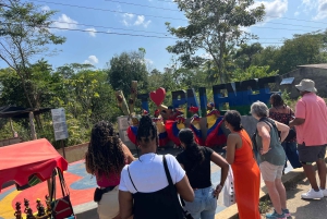 Cartagena:: Palenque´s tur, dansshow, lunch, upphämtning inkl.