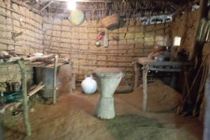 Cartagena: Tour di Palenque e Strada dell'Emancipazione