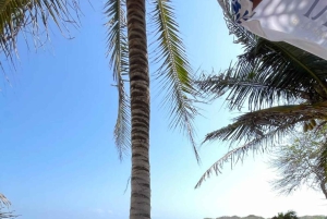 Cartagena: ILHA PRIVADA em Rosário com cocktail tropical