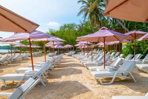 Cartagena: Rosario Island Beach Club Day Trip and OPEN BAR
