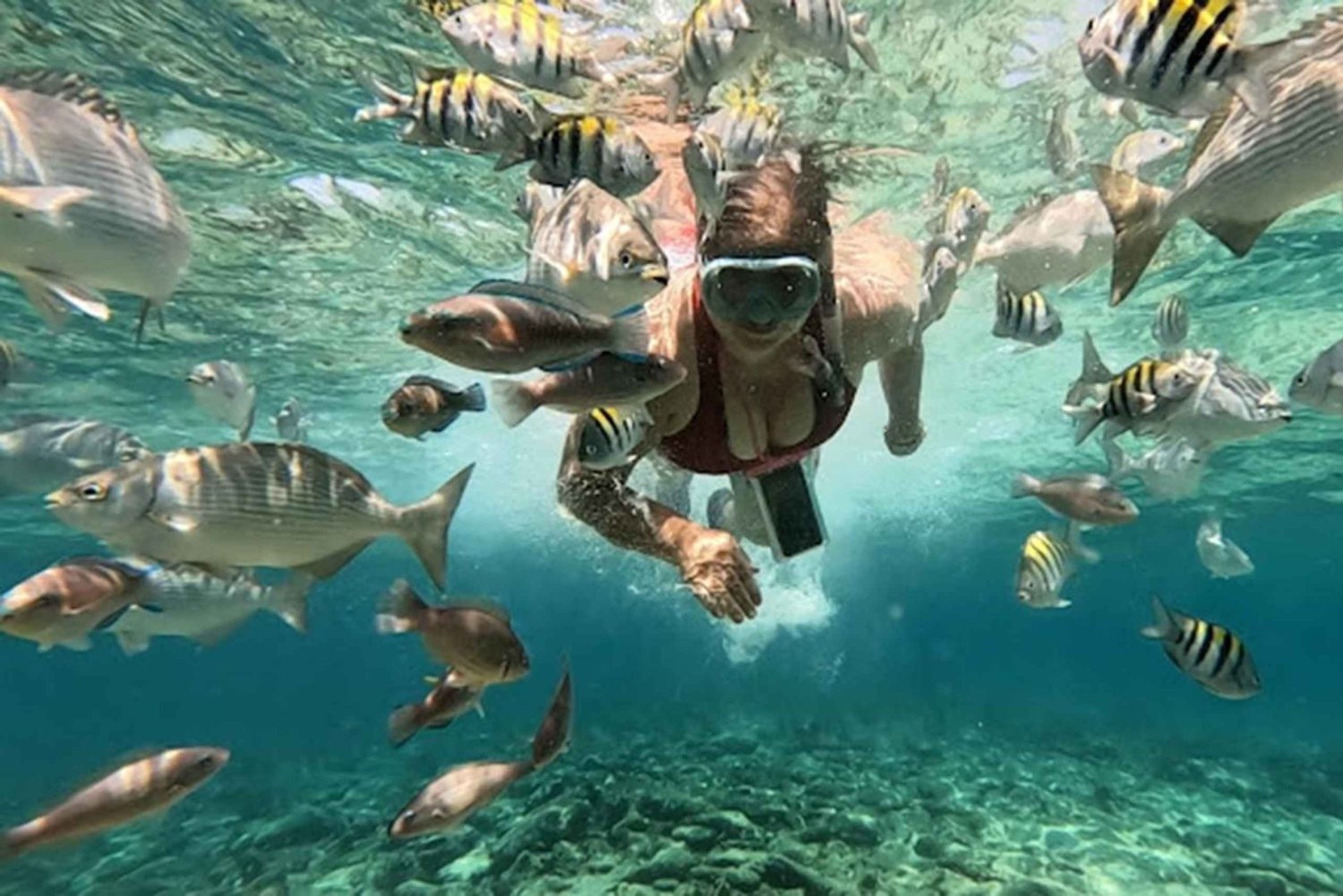 Cartagena: Rosario Islands and Playa Blanca Excursion with Snorkeling or Aquarium