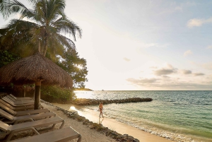 カルタヘナ：ロサリオ諸島とサン・ペドロ・デ・マハグアの海洋水族館