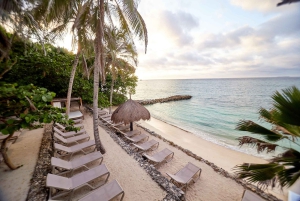 カルタヘナ：ロサリオ諸島とサン・ペドロ・デ・マハグアの海洋水族館