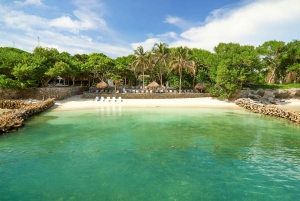 カルタヘナ：ロサリオ諸島とサン・ペドロ・デ・マハグアの海洋水族館