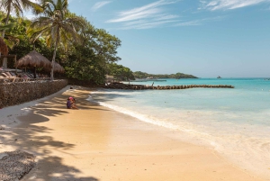 カルタヘナ：ロサリオ諸島とサン・ペドロ・デ・マハグアの海洋水族館