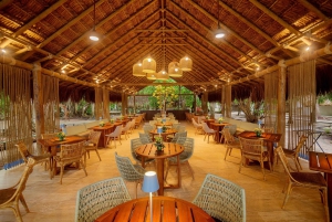 カルタヘナ：ロサリオ諸島とサン・ペドロ・デ・マハグアの海洋水族館