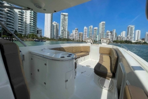 Cartagena: Sunset VIP Bay Tour with Open Bar, and Club