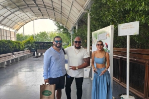 Cartagena: Den verkliga lokala upplevelsen för kryssningsresenärer