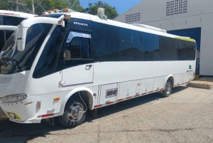 Cartagena: Traditional Daytour to Playa Blanca By Bus!
