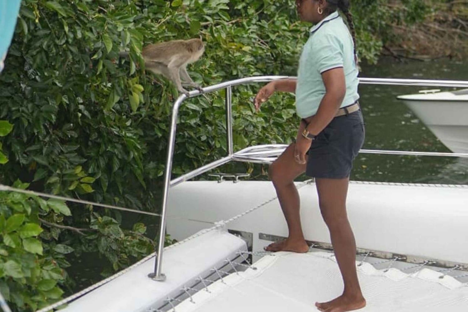 Круиз на катамаране к острову Иль-о-Серф и водопаду GRSE