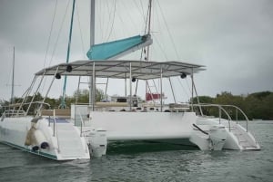 Круиз на катамаране к острову Иль-о-Серф и водопаду GRSE