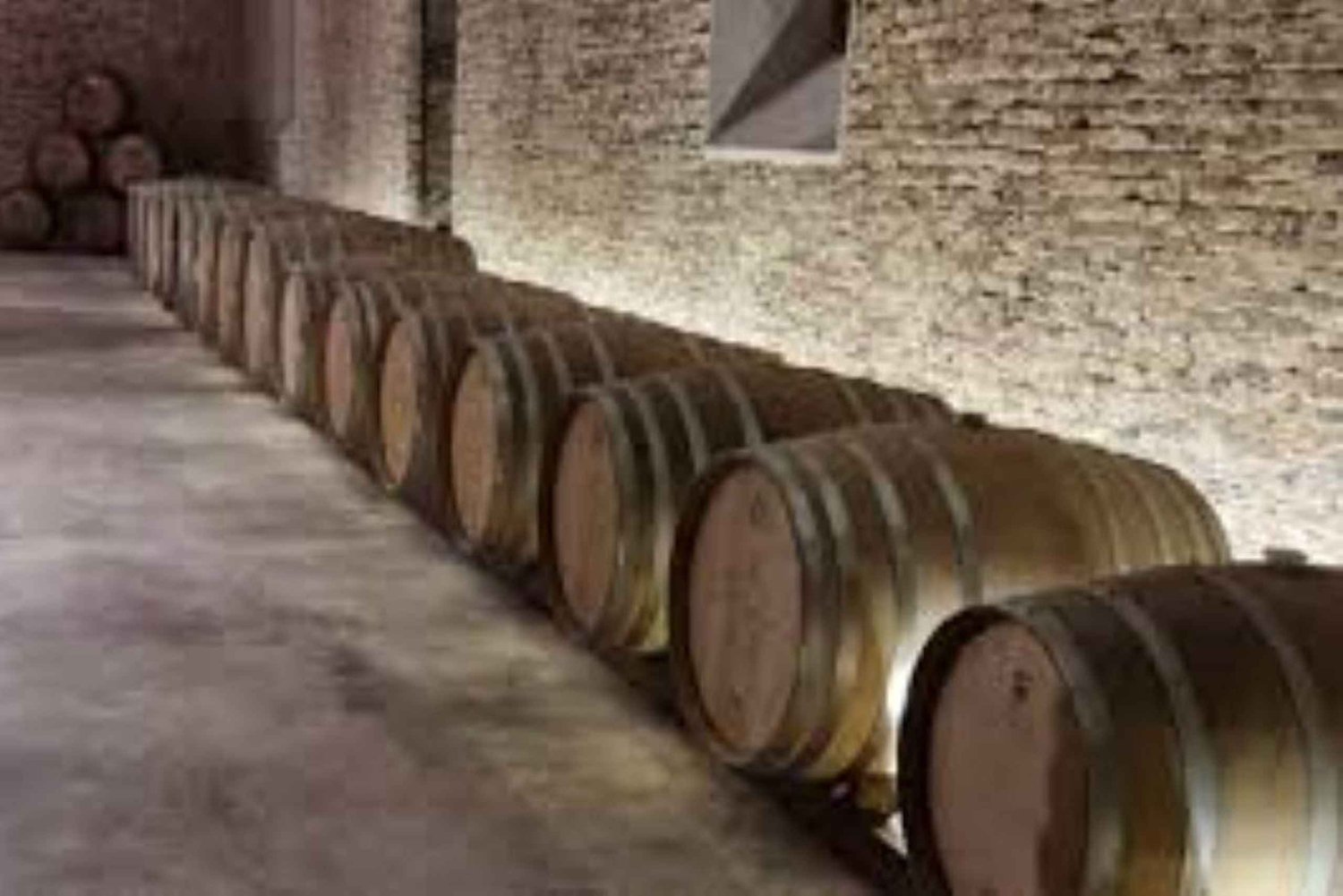 Cerros de San Juan: Tour durch die älteste Weinkellerei mit Mittagessen und Transfer
