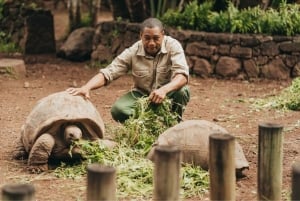 Chamarel: biglietto d'ingresso al Geoparco delle 7 Terre Colorate