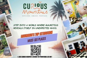 Chamarel: biglietto d'ingresso per Curious Mauritius