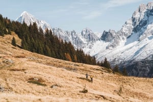 Chamonix, descoberta do vale em uma mountain bike elétrica