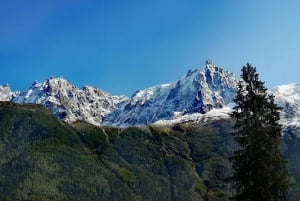 Chamonix: highlight tour Aiguille du Midi and Mer de Glace