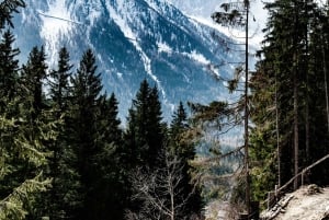 Chamonix: Vandring og prøvesmaking av lokale produkter med utsikt mot Mont Blanc