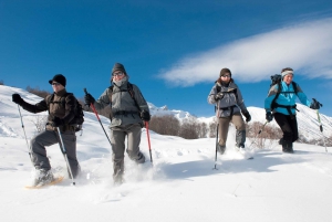 Chamonix-Mont-Blanc: Winter Dreamland Private Snowshoe Hike