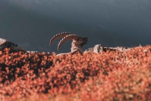 シャモニー：ラク・ブランでの山岳写真ワークショップ