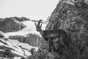 シャモニー：ラク・ブランでの山岳写真ワークショップ