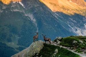 シャモニー：ラク・ブランでの山岳写真ワークショップ