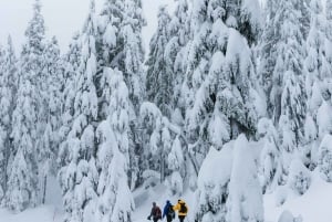 Chamonix: Faz snowshoeing sob as estrelas