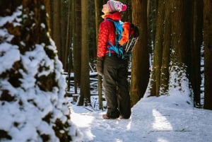 Chamonix: Faz snowshoeing sob as estrelas