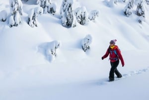 Chamonix: Faz snowshoeing sob as estrelas