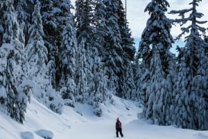 Chamonix: Faz snowshoeing sob as estrelas