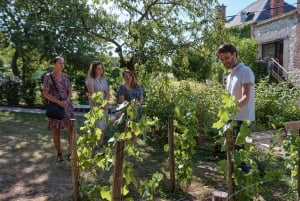 Champagne: Champagne Tasting Class with Lunch