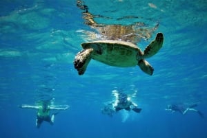 Круиз с шампанским и лобстерами