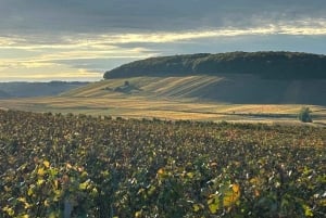 Champagne Munoz Bruneau : Puolipäiväinen vierailu ja maistelu